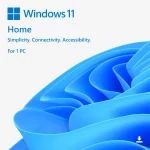 windows 11 home big webp
