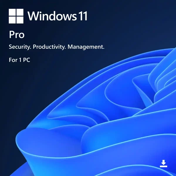 windows 11 pro cheap and fast delivery key license